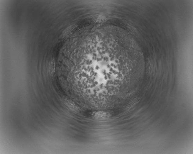 X0000056340230200509091538