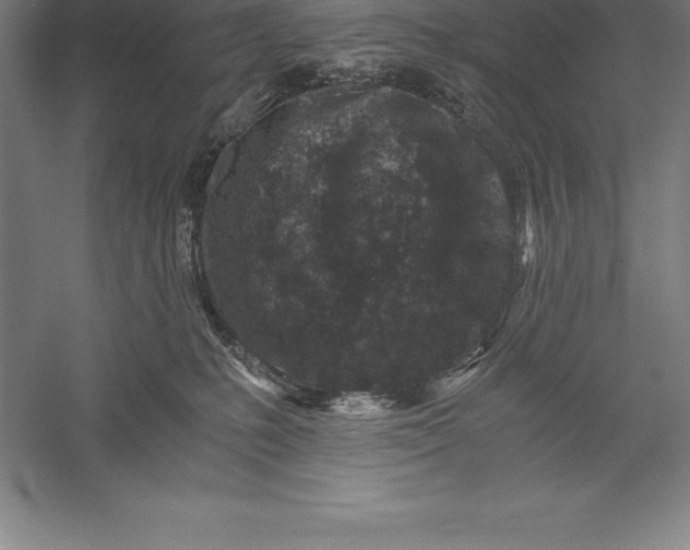 X0000056340231200509091538
