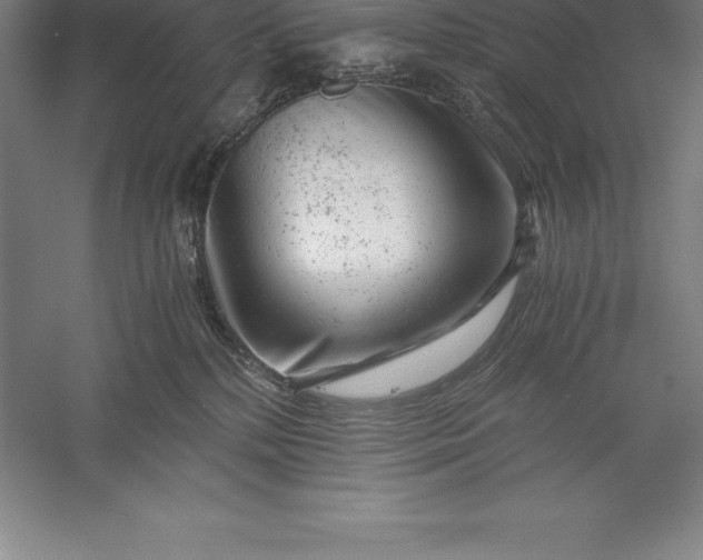 X0000056340232200509091538