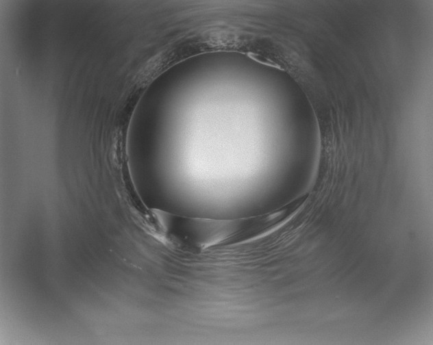 X0000056340233200509091538