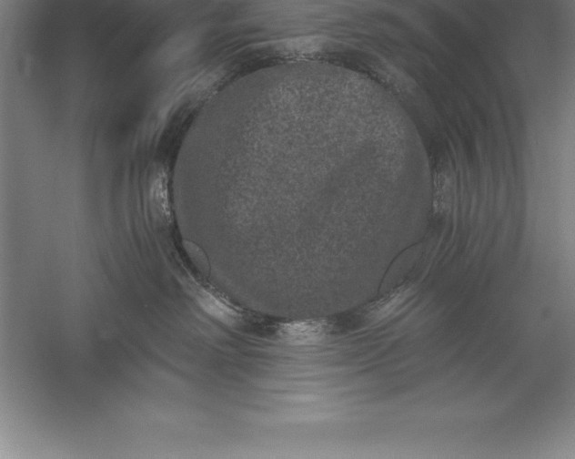 X0000056340238200509091538