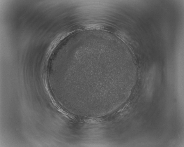 X0000056340241200509091537