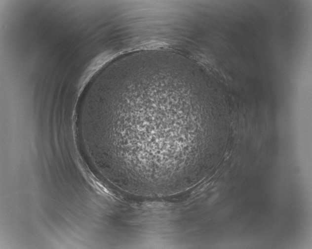 X0000056340242200509091537