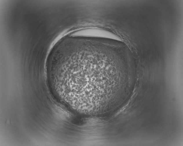 X0000056340246200509091537