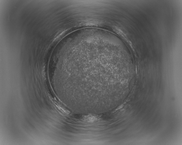 X0000056340249200509091537