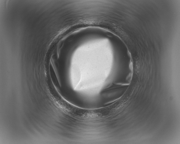 X0000056340256200509091538