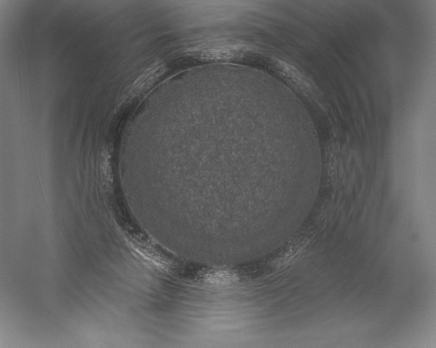 X0000056340258200509091538