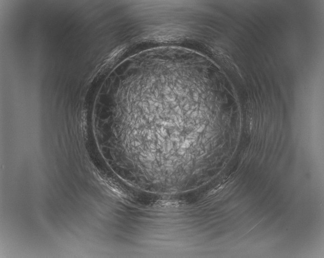 X0000056340260200509091538