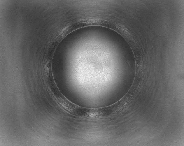 X0000056340264200509091538