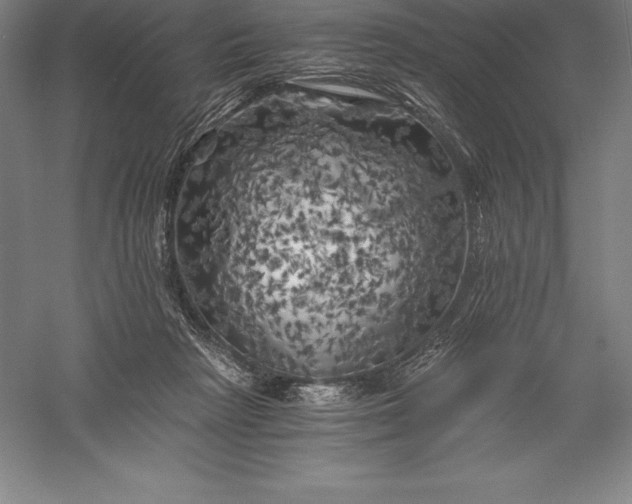 X0000056340265200509091538