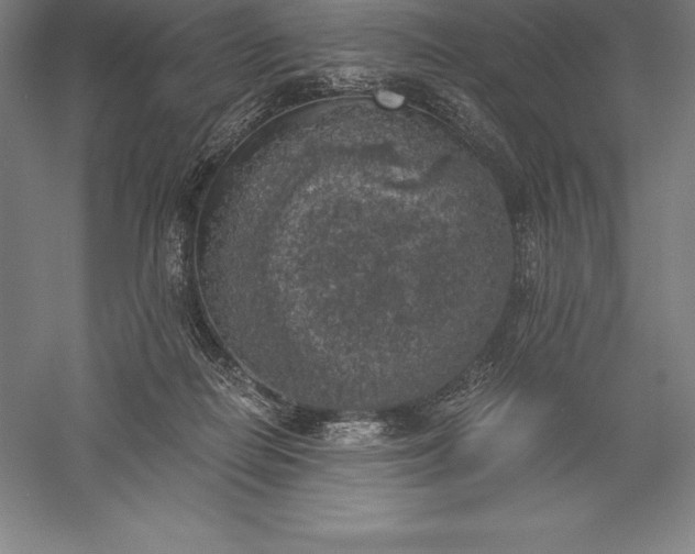X0000056340266200509091538
