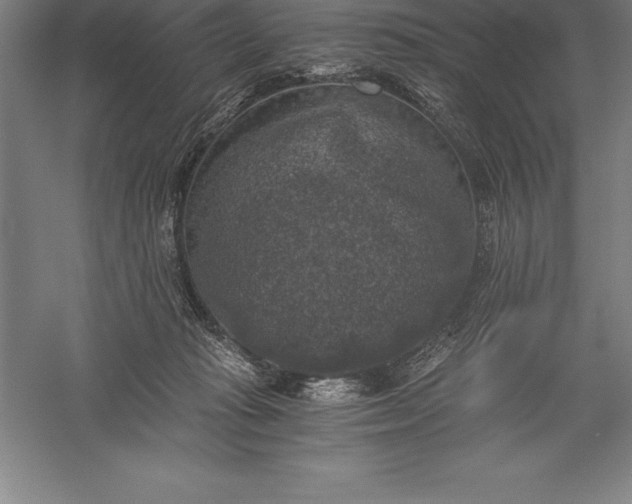 X0000056340269200509091538
