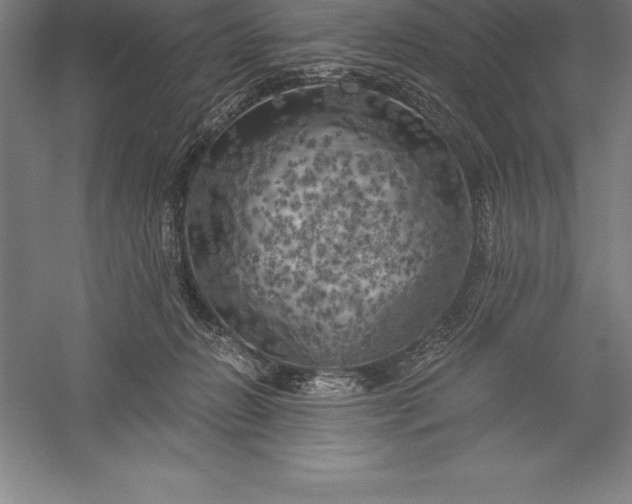 X0000056340270200509091538