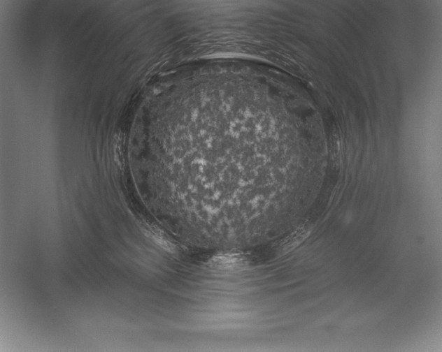X0000056340280200509091538