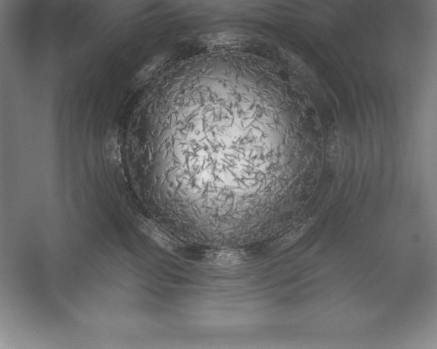 X0000056340282200509091538