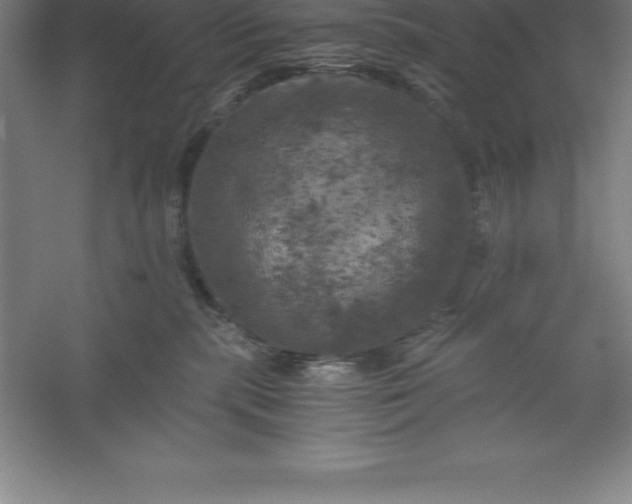 X0000056340283200509091538