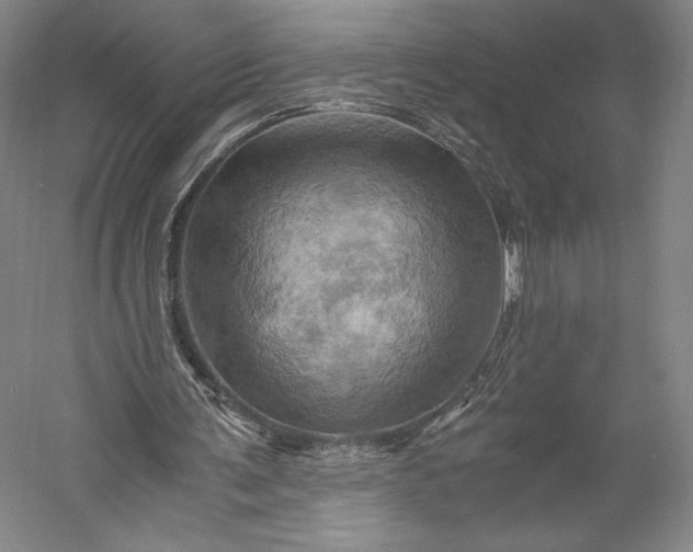 X0000056340291200509091537