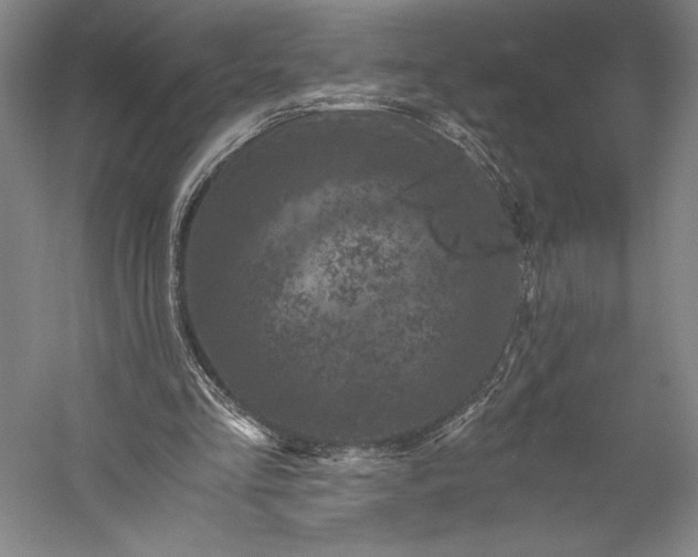 X0000056340293200509091537