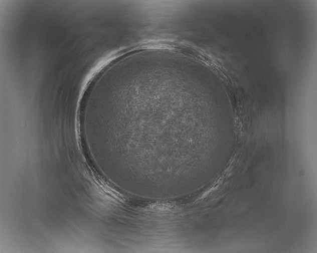 X0000056340294200509091537