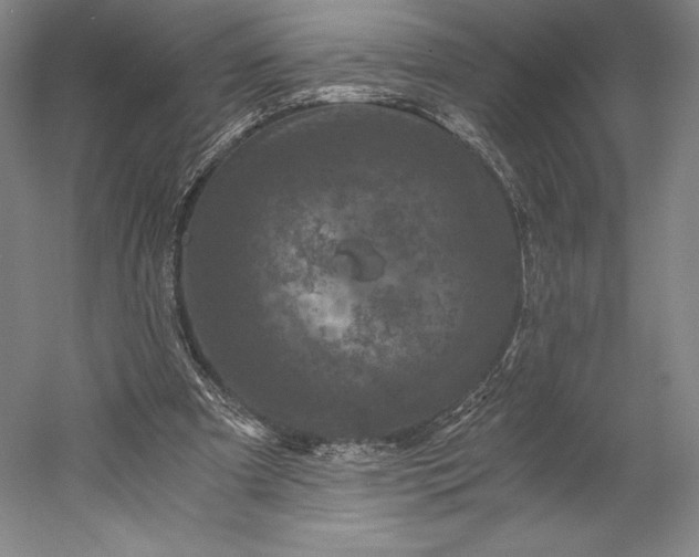 X0000056340297200509091537