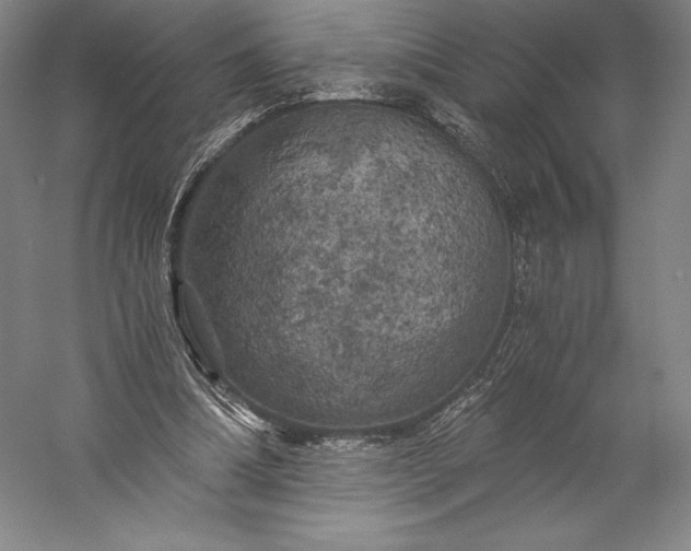 X0000056340298200509091537