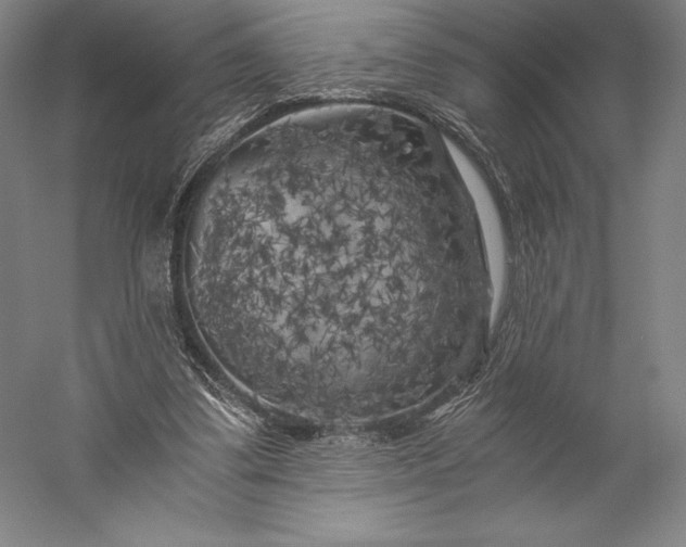 X0000056340299200509091537