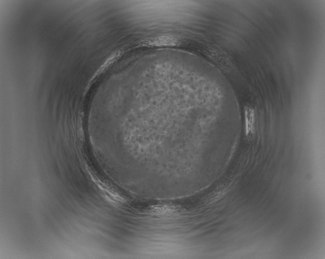 X0000056340300200509091537