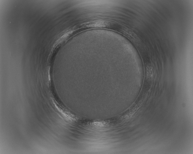X0000056340302200509091537