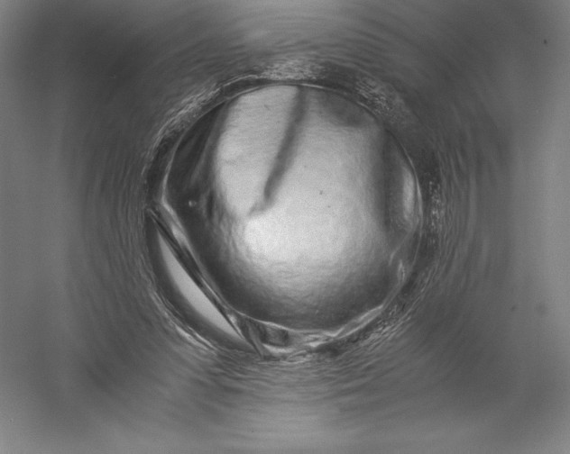 X0000056340303200509091537