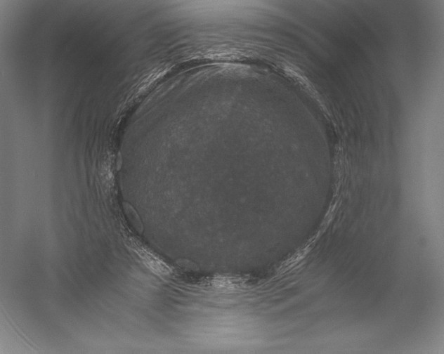 X0000056340305200509091537
