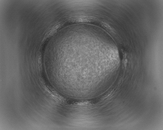 X0000056340306200509091537