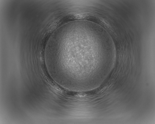 X0000056340317200509091537