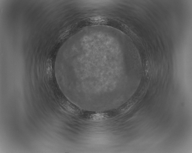 X0000056340320200509091537