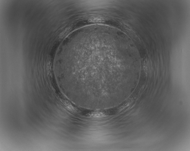 X0000056340322200509091537