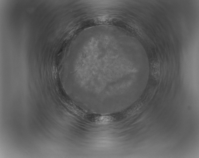 X0000056340324200509091537