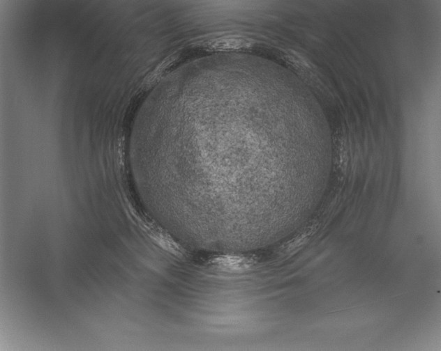 X0000056340326200509091537