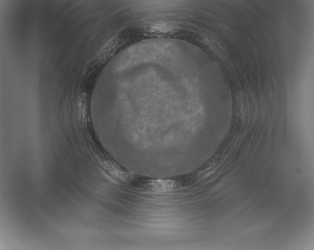 X0000056340328200509091537