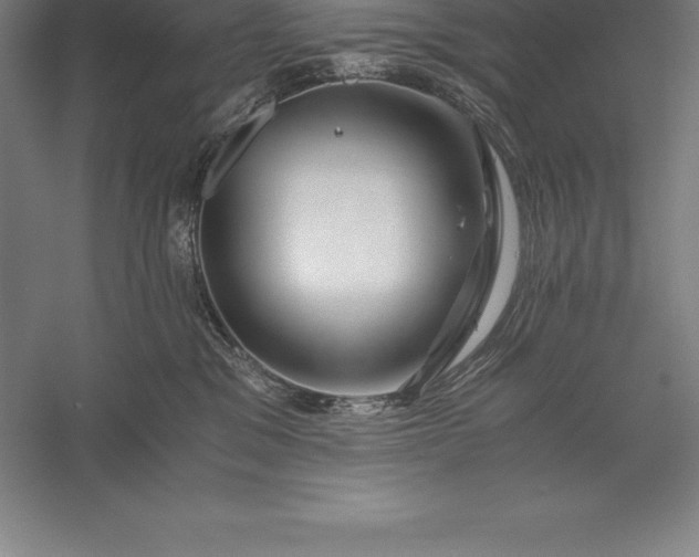 X0000056340329200509091537