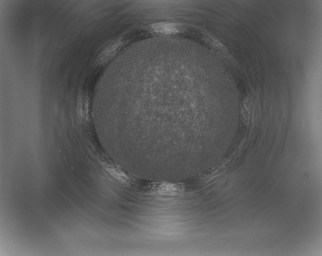 X0000056340330200509091537