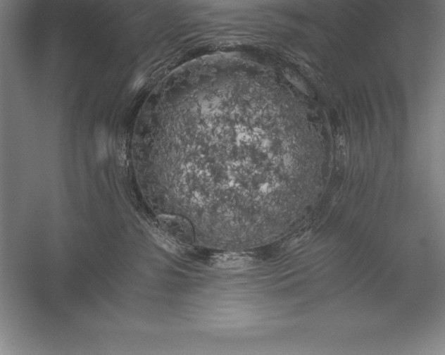 X0000056340331200509091537