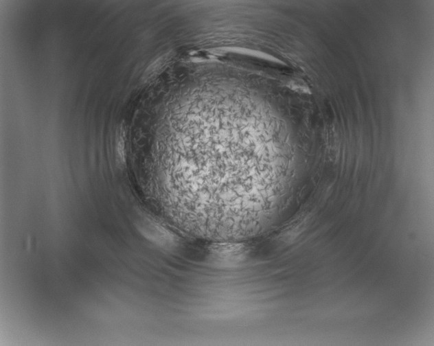 X0000056340334200509091537
