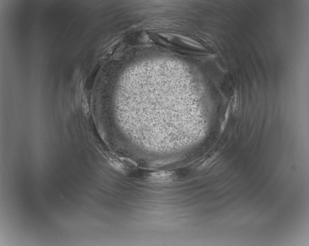 X0000056340335200509091537