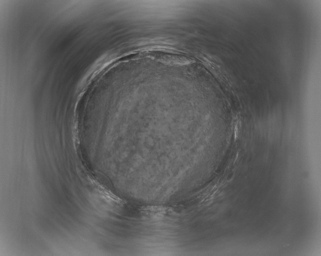 X0000056340339200509091536