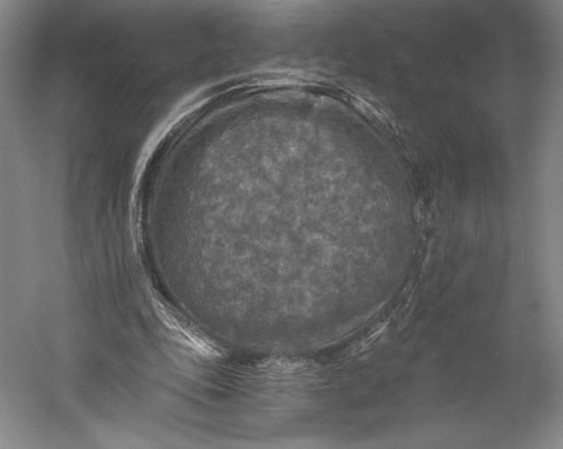 X0000056340343200509091536