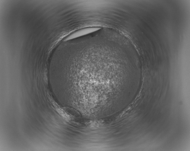 X0000056340345200509091536