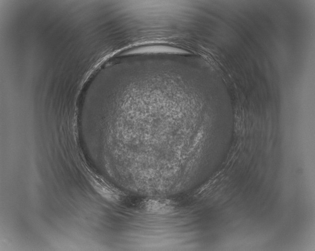 X0000056340346200509091536