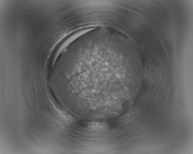 X0000056340347200509091536