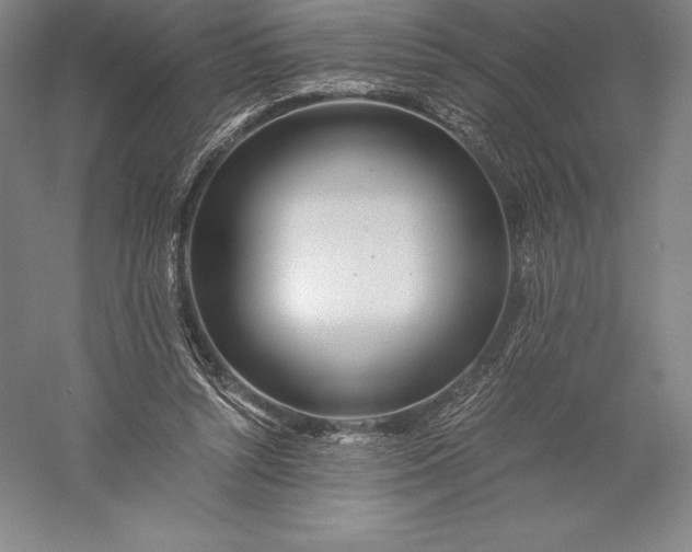 X0000056340352200509091536