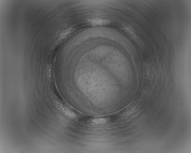 X0000056340357200509091536