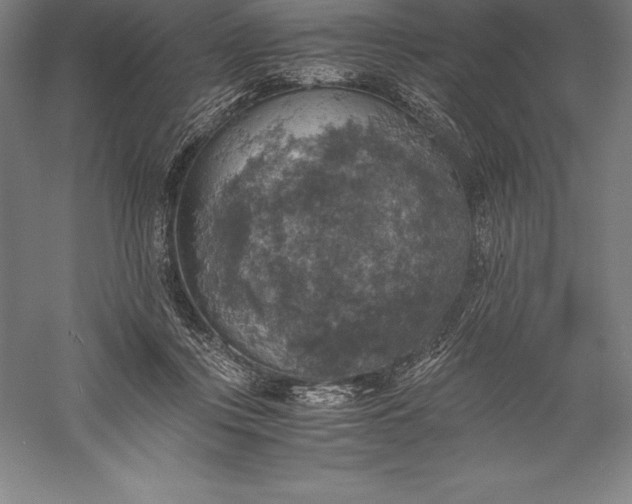 X0000056340359200509091536